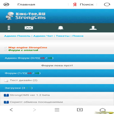 StrongCms_ru_screen_6331.png